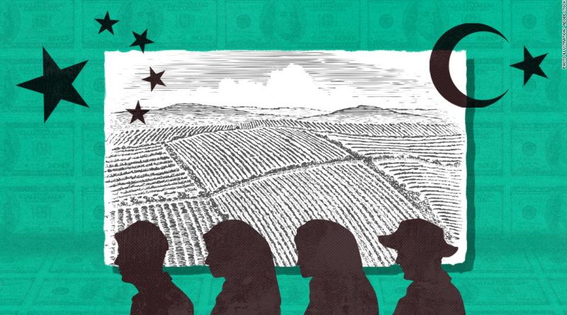 Development bank accused of lending millions to companies allegedly linked to forced labor in Xinjiang