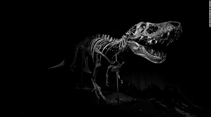 T. rex skeleton, the world’s most expensive fossil, gets a new home