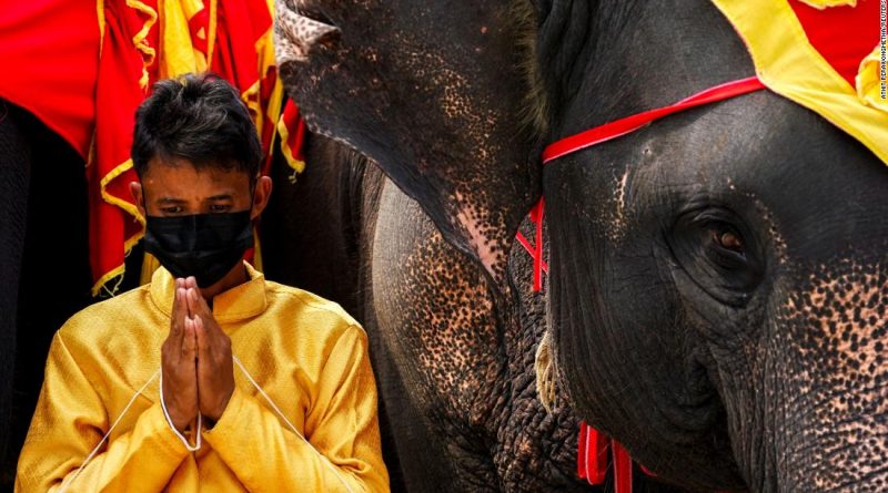 Thailand lays out fruit buffet for elephants in national celebration