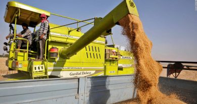 India bans wheat exports as heat wave hurts crop, domestic prices soar