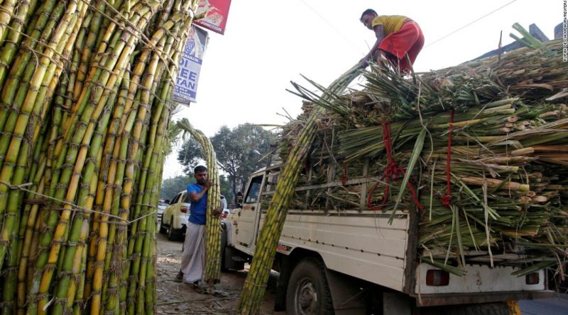 India, the world’s largest producer of sugar, is restricting exports