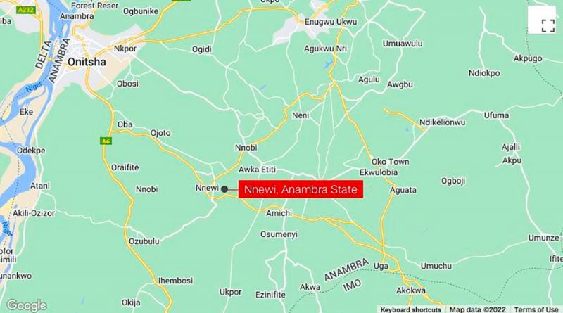 Severed head of missing Nigerian lawmaker found in park, police say