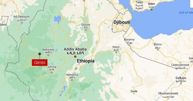 At least 200 civilians killed in western Ethiopia, say reports and officials