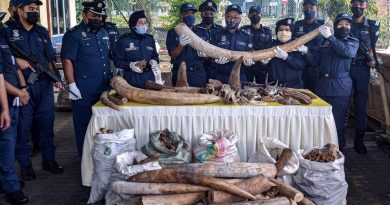 Malaysia seizes six tonnes of illegally trafficked animal parts