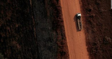 Brazil’s environment chief approved paving Amazon highway against own agency’s warnings